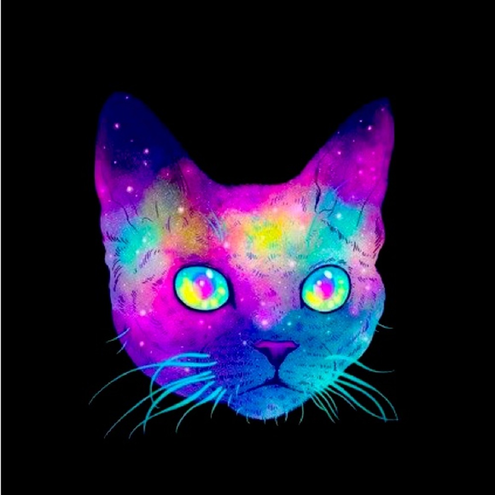 Meet your Posher, Devon